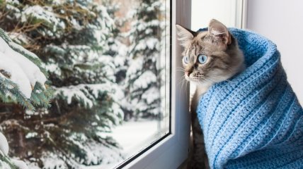 Лучше начать с самоутепления