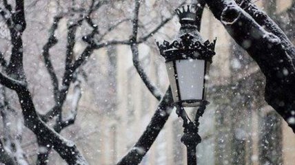 Погода в Украине 4 февраля: мокрый снег, дождь