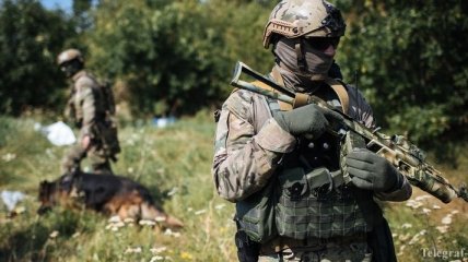 Силы АТО освобождают города Донбасса исключительно наземными силами