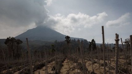 Ученые рассказали, какие последствия следуют за извержениями вулканов 