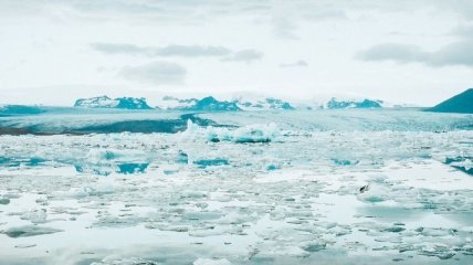 Не очень хорошая новость: площадь льдов в Беринговом море достигла минимума