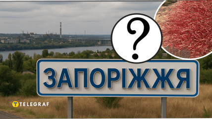 У Запоріжжі помітили солонець червоний