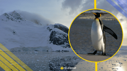 Ілюстративне фото