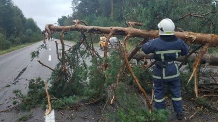 Сильный ураган в Черновцах сорвал кусок штукатурки с многоэтажки