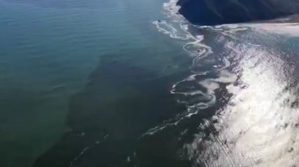 Каким токсическим веществом загрязнили побережье Камчатки: жуткое видео с воздуха