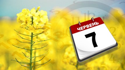 Обретіння глави Іоанна Предтечі: народні прикмети і заборони 7 червня