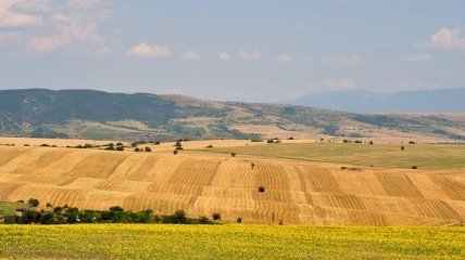 Украина может потерять более половины пахотных земель