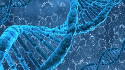 Ученые выяснили, как алкоголь повреждает ДНК