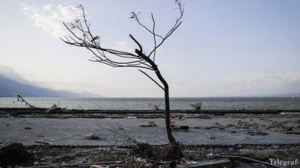 Индонезию всколыхнуло "опустошительное" землетрясение