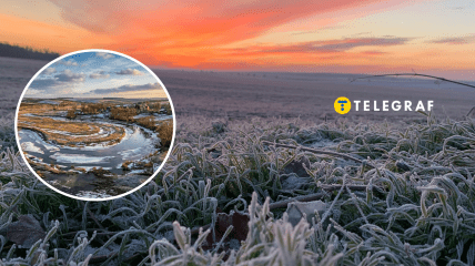 Колаж "Телеграфу"