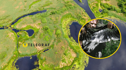 Национальный парк в Украине