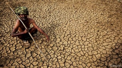 В Индии от жары погибли уже более 1000 человек
