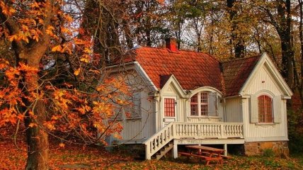 Осенняя романтика: дизайнерские идеи для дома  (Фото)