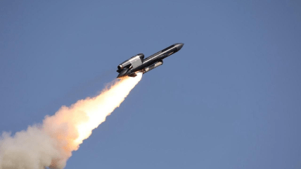 Крылатая ракета "Фламинго"