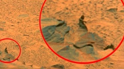 На Марсе обнаружили останки погибшего существа (Видео)