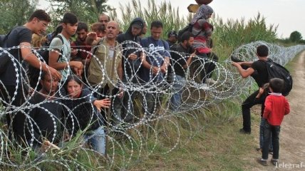 Венгрия может использовать армию для защиты границ от мигрантов