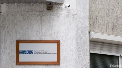 В ОБСЕ сделали заявление о ситуации на Закарпатье