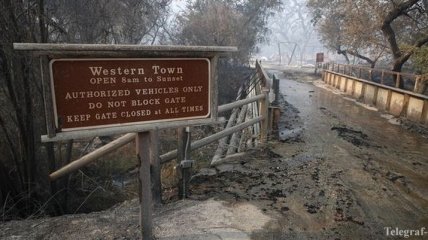 Лесные пожары в Калифорнии: огненная стихия уже забрала полсотни жизней