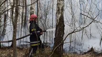 В Житомирской области новая угроза масштабного пожара