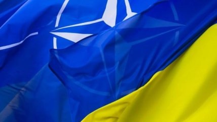 Кулеба рассказал, что должно стать "важнейшей историей успеха" в отношениях НАТО и Украины в 2020 году