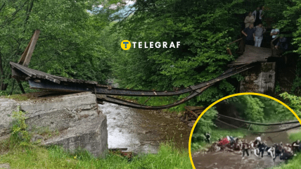Коллаж "Телеграфа"