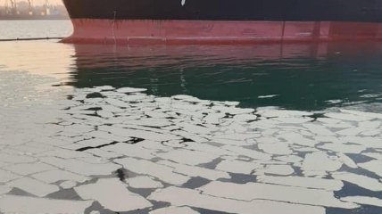 Сброс восьми тонн пальмового масла в море близ Одессы: прокуратура требует взыскать более 65 млн