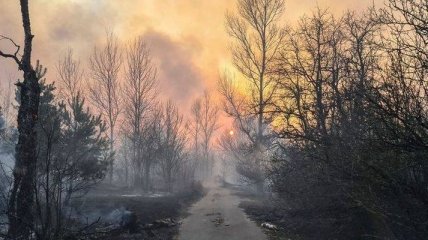 Рятувальники продовжують боротись із пожежами в Чорнобильській зоні (Відео)