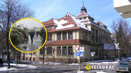 Продажа елок в Харькове