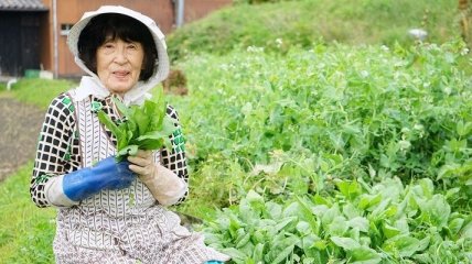 Икигай: Японский секрет долголетия и счастья