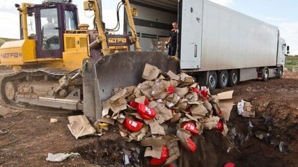 В России уже уничтожили почти 600 тонн санкционных продуктов