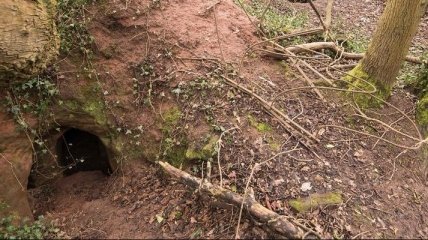 Кроличья нора оказалась входом в 700-летнюю пещеру (Фото)