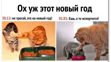 Prikoly Pro Novyj God 2022 Memy Smeshnye Kartinki Karikatury Shutki Telegraf