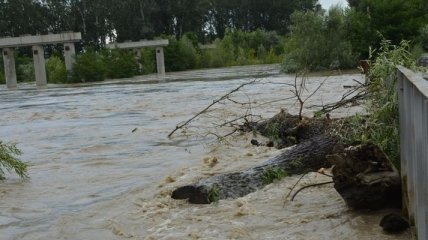 Непогода в Украине: на Буковине подтоплены дома, повреждены мосты