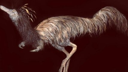 Палеонтологи нашли в США странного динозавра с одним когтем на передних лапах (Фото)