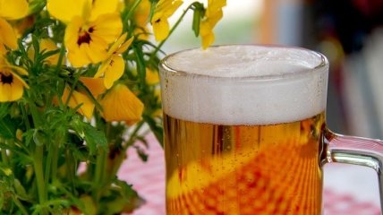Не такой уж и вредный: алкогольный напиток, который поможет вылечить различные заболевания