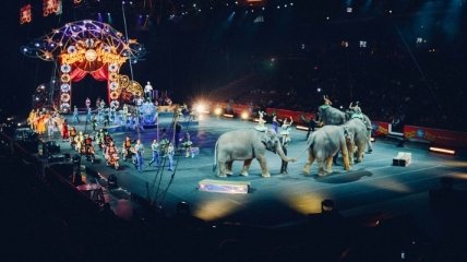 Чехия собирается полностью запретить использование животных в цирках 