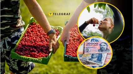 Надо будет работать на поле