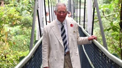 Принц Чарльз заменит королеву Елизавету II во главе Содружества наций