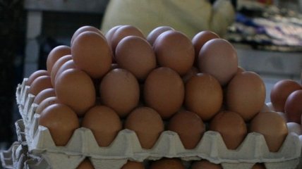 Украина получила разрешение на экспорт яиц в Японию