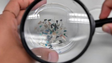 Миллионы тонн: ученые оценили вес микропластика, плавающего в Атлантическом океане 