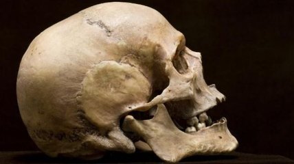 Ученые воссоздали лицо девушки по ее 9000-летнему черепу