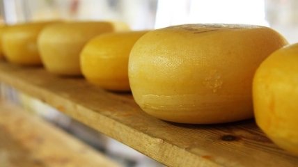 Диетологи назвали полезные свойства сыра