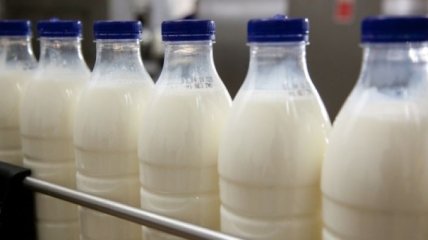 Аграриям нужно сбыть 800 тысяч тонн молочной продукции в 2016 году