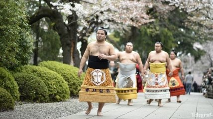 Невероятные кадры самого крупного турнира по сумо в Японии (Фото)
