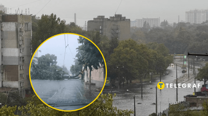 Стихія повалила дерева