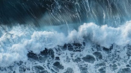 В Мировом океане зафиксировали убийственные "волны жары" - все из-за глобального потепления