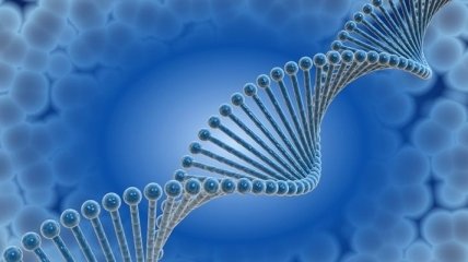 Ученые добились прорыва в понимании структуры человеческой ДНК