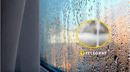 Конденсат на окнах