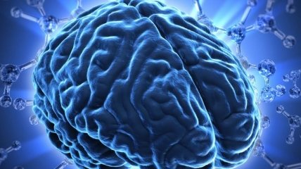 Ученые разработали мини-мозг с помощью 3D-печати
