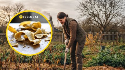Банановая шкурка может стать полезной в саду и на огороде
